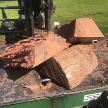 Load image into Gallery viewer, REDGUM